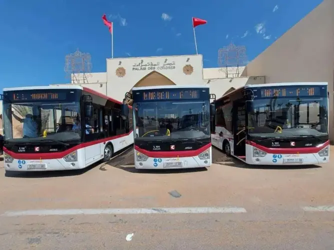طوبيس العيون - Bus Laayoune