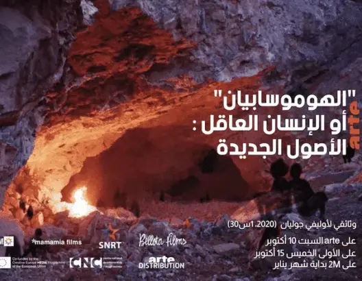 الإنسان العاقل.. الأصول الجديدة
