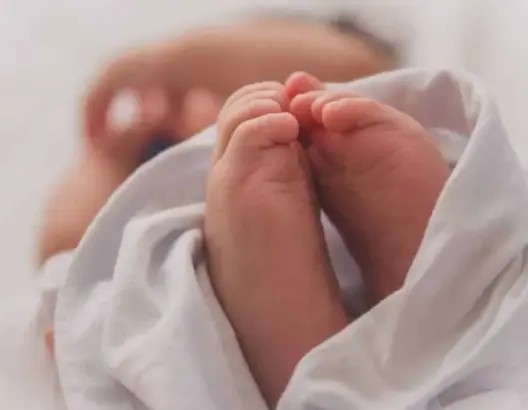 العثور على رضيع حديث الولادة يستنفر المصالح الأمنية بالرشيدية