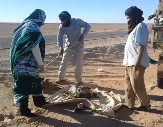البوليساريو