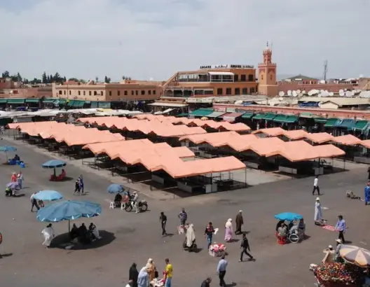 مهنيو السياحة يطالبون بحرية التنقل بين المدن وإلغاء رخصة التنقل الاستثنائية  