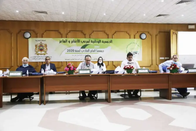 مربو الأغنام والماعز يعقدون جمعهم العام وهذه هي الحصيلة