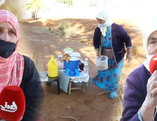 بائعات اللبن بالبراشوة .. كفاح يومي بجانب الطريق من أجل لقمة العيش (فيديو)