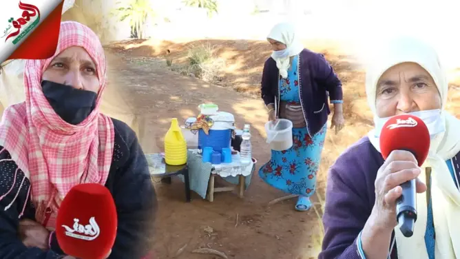 بائعات اللبن بالبراشوة .. كفاح يومي بجانب الطريق من أجل لقمة العيش (فيديو)