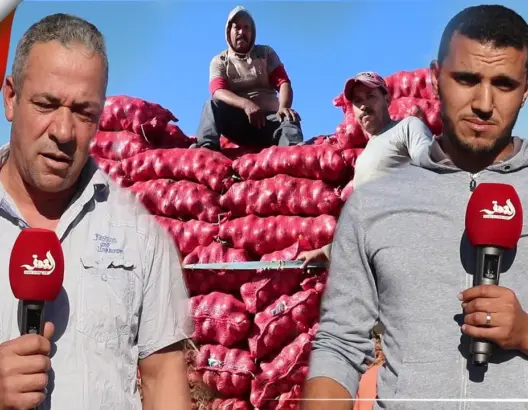 فلاحون مغاربة يزودون الأسواق الإفريقية بالخضر والفواكه بعد تأمين معبر الكركرات (فيديو)