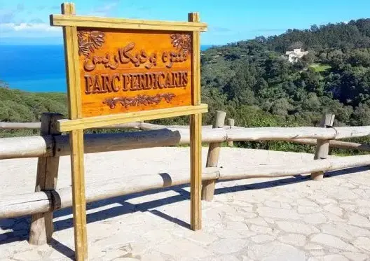 طمس المناطق الخضراء يثير جدلا بطنجة