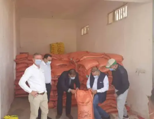 “Syngenta ” و”Agrin” توزعان 440 قنطارا من بذور القمح لفائدة 220 فلاحا