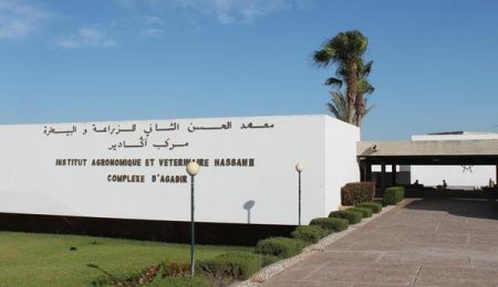 معهد البيطرة أكادير
