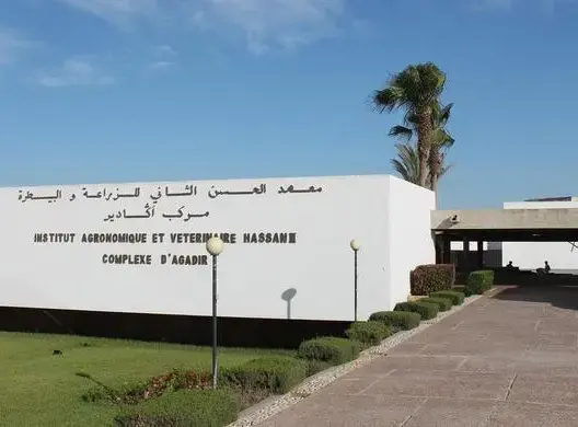 معهد البيطرة أكادير