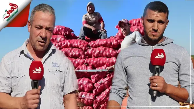 التجار المغاربة يستأنفون تصدير الخضروات والفواكه نحو دول إفريقيا