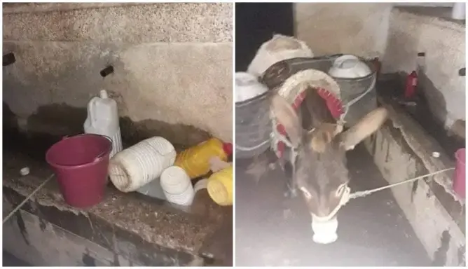 في فصل الشتاء .. أزمة الماء تتفاقم بدواوير تاونات