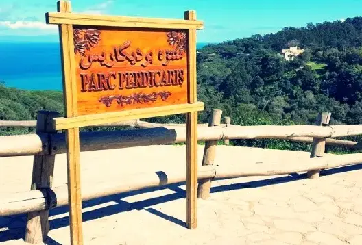 طمس المناطق الخضراء يثير جدلا بطنجة