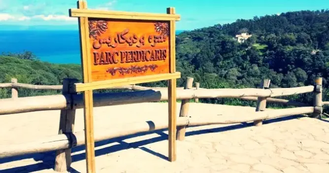 طمس المناطق الخضراء يثير جدلا بطنجة