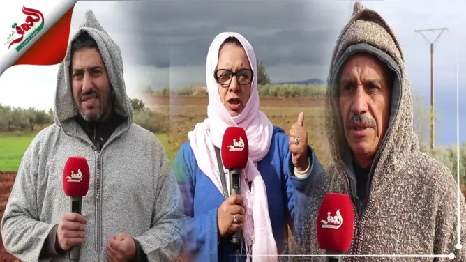 التساقطات المطرية الأخيرة تنعش آمال الفلاحين في موسم فلاحي جيد (فيديو)