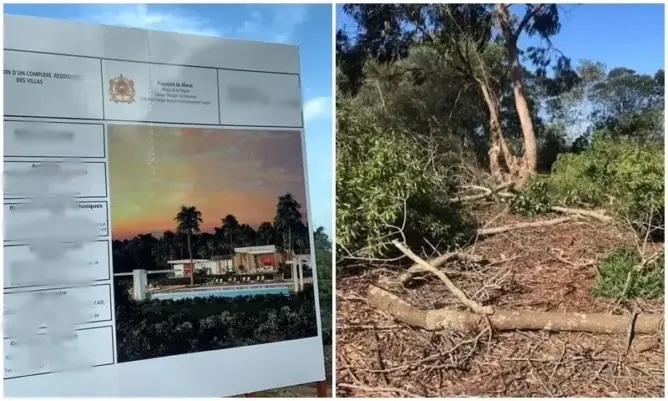 طمس المناطق الخضراء يثير جدلا بطنجة