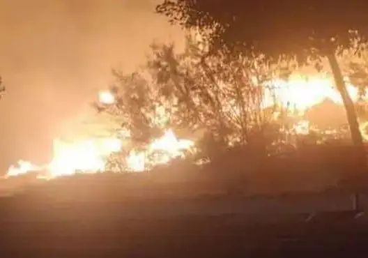 حريق غابة بمدينة السعيدية