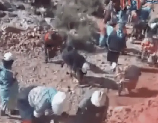 فيديو يثير تعاطفا واسعا.. قرويات يشقن طريقا بضواحي تارودانت لفك العزلة عن قريتهن