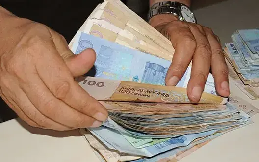 القروض المضمونة