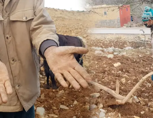 يحرث أرضا قاحلة بمحراث خشبي.. فلاح من أزيلال يشكو الحاجة والفقر (فيديو)