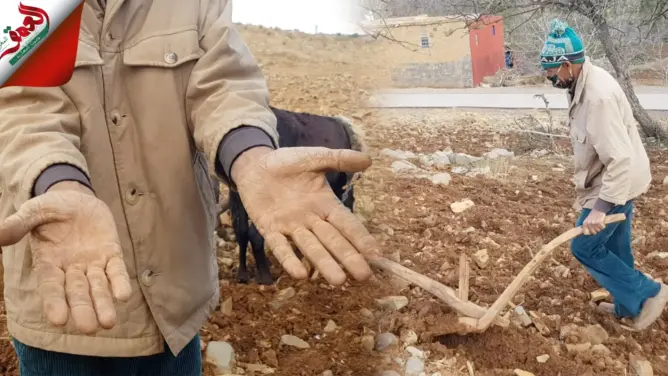 يحرث أرضا قاحلة بمحراث خشبي.. فلاح من أزيلال يشكو الحاجة والفقر (فيديو)