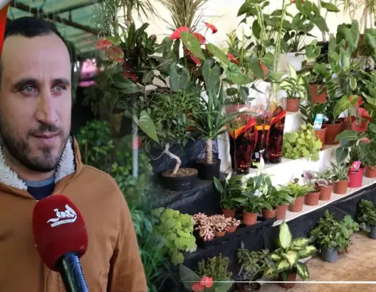 إقبال كبير على شراء الورود بمناسبة رأس السنة