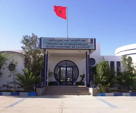 نقابة بالعيون تستنكر ممارسات داخل معهد للصيد البحري.. والمدير يوضح