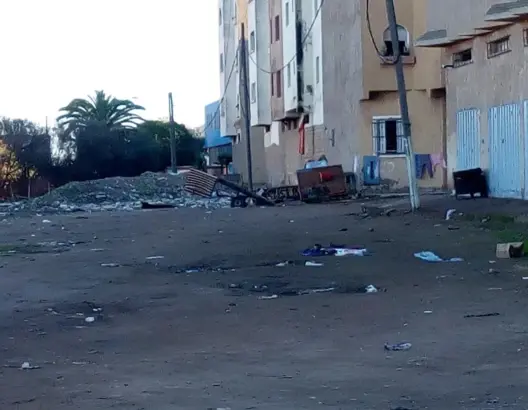 برشيد