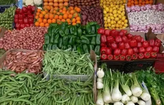 رغم الأزمة.. قطاع تصدير المنتجات الفلاحية يبصم على أداء جيد خلال 2021