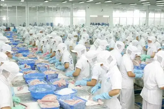البحث عن 32 عاملة في الصناعة الغذائية بأيت ملول