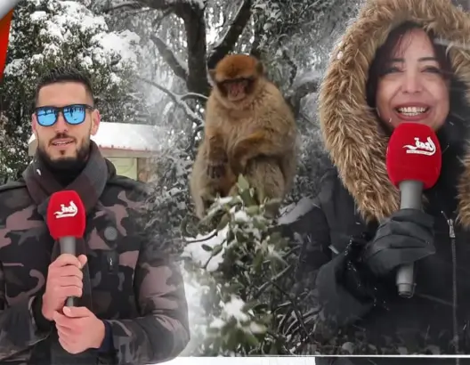الثلوج تنعش السياحة بأزرو.. زوار مغاربة وعرب يعبرون عن انبهارهم بالمنطقة (فيديو)