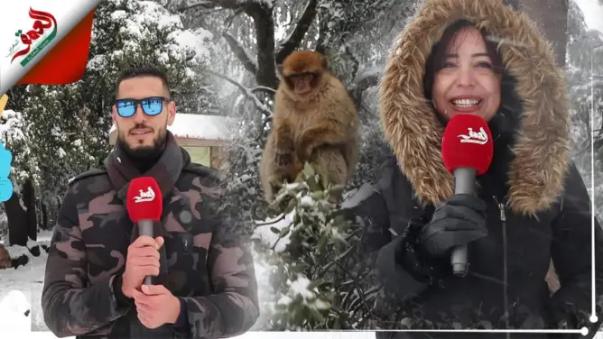 الثلوج تنعش السياحة بأزرو.. زوار مغاربة وعرب يعبرون عن انبهارهم بالمنطقة (فيديو)