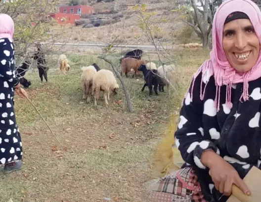 أم العيد.. قروية من أزيلال ترعى الأغنام وتغزل الصوف لصنع الزرابي ( فيديو)