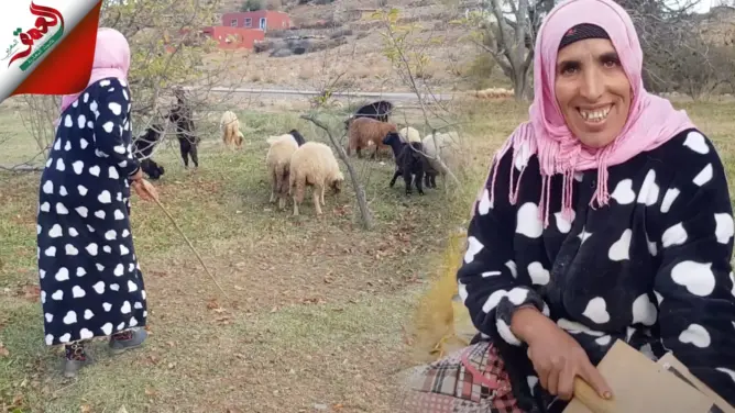 أم العيد.. قروية من أزيلال ترعى الأغنام وتغزل الصوف لصنع الزرابي ( فيديو)