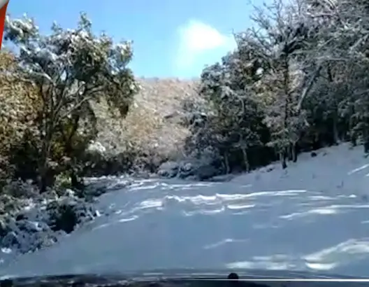 مشاهد ساحرة من غابة بوهاشم بإقليم تطوان بعد تساقط الثلوج (فيديو)
