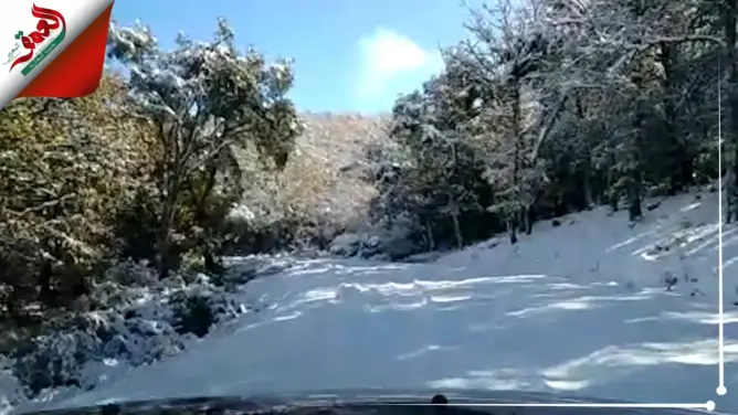 مشاهد ساحرة من غابة بوهاشم بإقليم تطوان بعد تساقط الثلوج (فيديو)