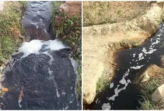 كارثة بيئية بقلعة امكونة.. تسرب المياه العادمة إلى وادٍ يهدد البشر والحيوان (فيديو)
