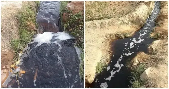 كارثة بيئية بقلعة امكونة.. تسرب المياه العادمة إلى وادٍ يهدد البشر والحيوان (فيديو)