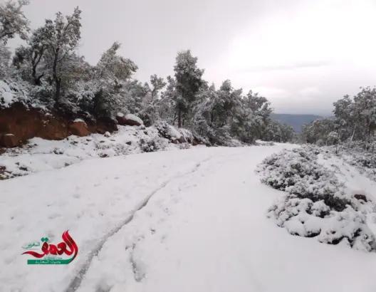 نشرة إنذارية.. ثلوج وأمطار قوية بعدد من مناطق المغرب