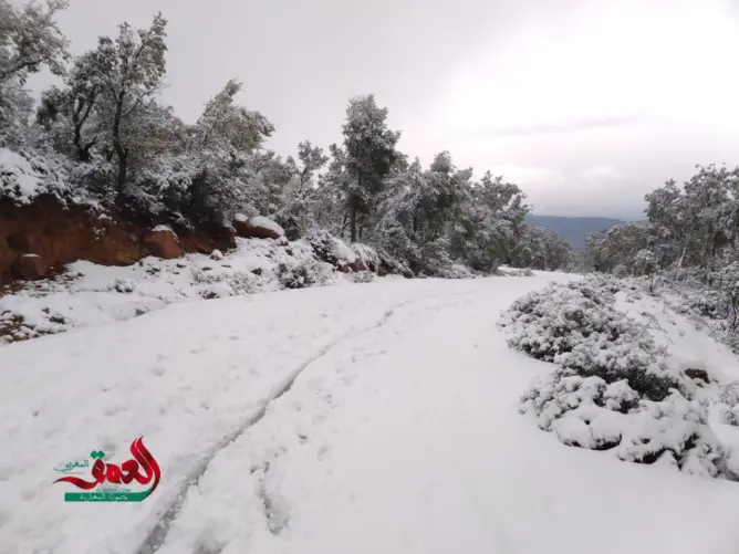 أمطار قوية وثلوج كثيفة بعدد من مناطق المغرب إلى غاية الخميس