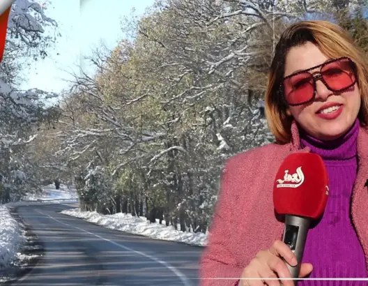 البياض يغطي إفران ويمنحها جمالا ساحرا.. وآلاف الزوار يحجون إليها من مختلف المدن (فيديو)