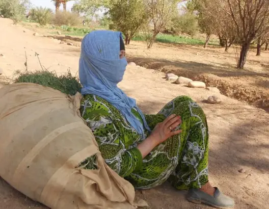 حرمان المرأة القروية من دعم المشاريع يثير جدلا بالبرلمان ووزيرة الأسرة توضح