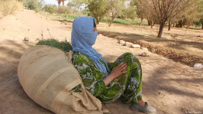 حرمان المرأة القروية من دعم المشاريع يثير جدلا بالبرلمان ووزيرة الأسرة توضح