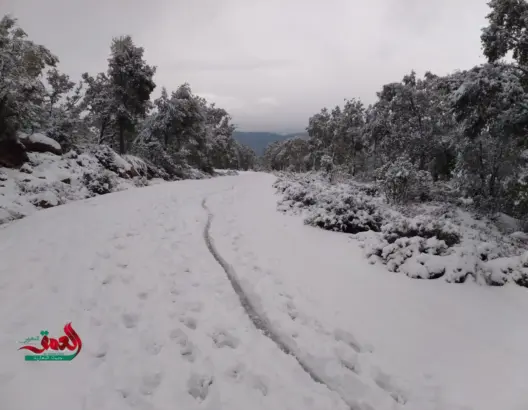 نشرة إنذارية.. ثلوج ورياح قوية الجمعة والسبت بعدد من مناطق المملكة