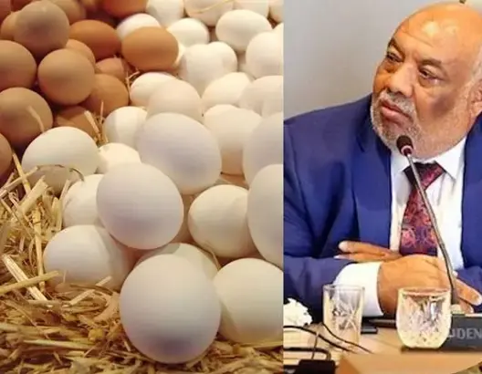 بيض حنان وأديبة
