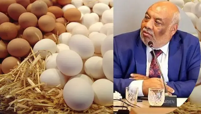 بيض حنان وأديبة