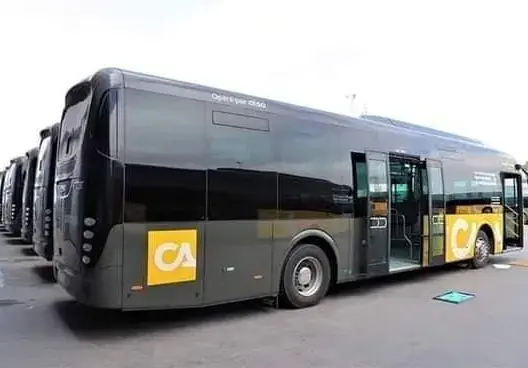 حافلة ألزا البيضاء