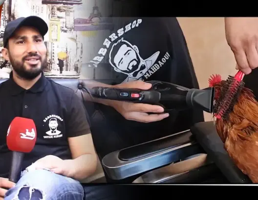 حلاق حسّن لفروج ودار ليه البروشينغ.. هذه قصة الديك التي ألهبت مواقع التواصل (فيديو)