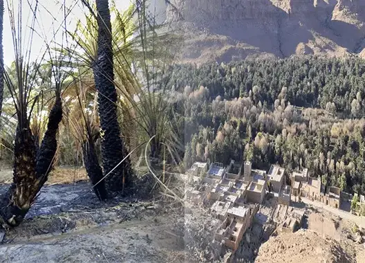 حريق مهول يأتي على 500 شجرة للنخيل بضواحي الرشيدية (صور)