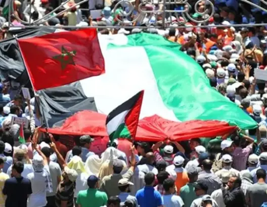 “المغرب عاشق لفلسطين”.. فنانون فلسطينيون يتغنون بالعلاقات المغربية الفلسطينية (فيديو)