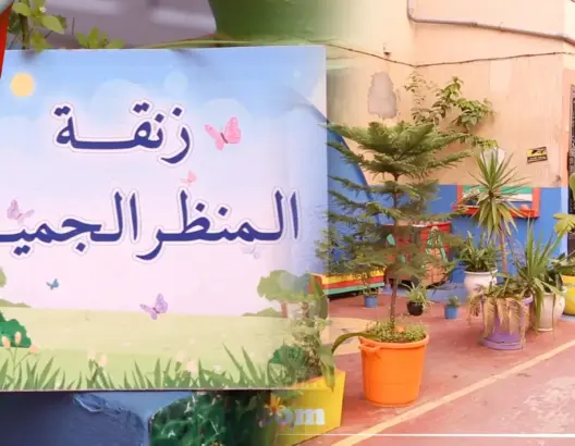 ساكنة بتمارة يزينون حيهم ويشجعون على نشر الفكرة لحياة طبيعية أمام منازلهم (فيديو)